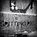 Spitting Pig Instagram